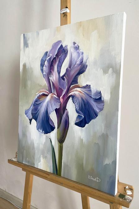 Цветы, Ирисы